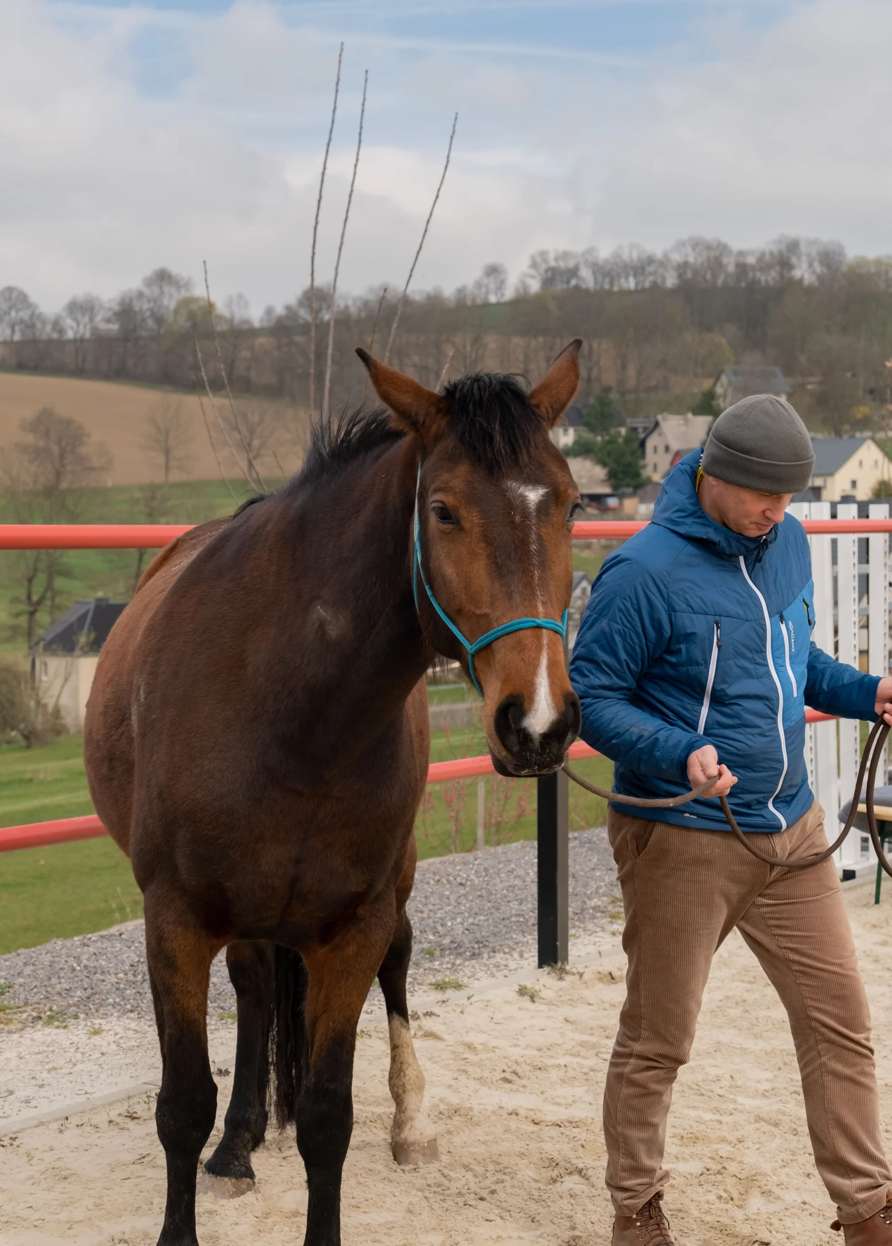 безымянный-1223