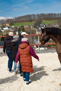 безымянный-1250